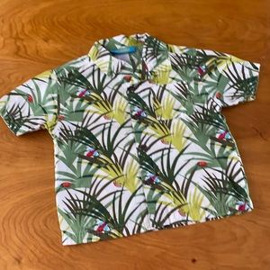 Gymboree Buggie Button Down Shirt